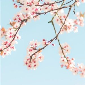 Meet your Posher, Derrian